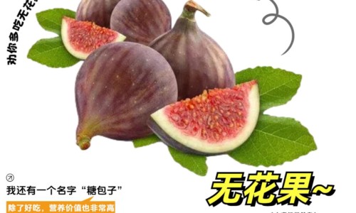 蜜升麻的功效与作用及禁忌症-蜜升麻的功效与作用及禁忌网 | 蜜升麻和升麻有什么区别,密升麻的功效