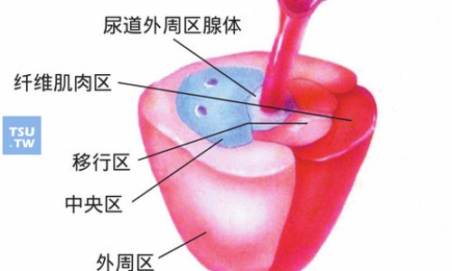 蜜升麻的功效与作用及禁忌网 | 蜜升麻和升麻有什么区别,密升麻的功效