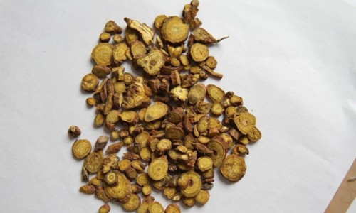 蜜升麻的功效与作用及禁忌网 | 蜜升麻和升麻有什么区别,密升麻的功效