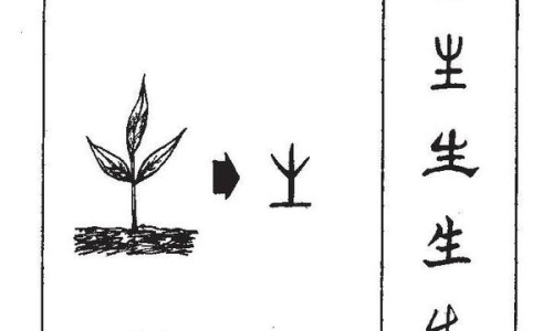 蜜升麻与升麻的区别-蜜升麻的功效与作用及禁忌网 | 蜜升麻和升麻有什么区别,密升麻的功效